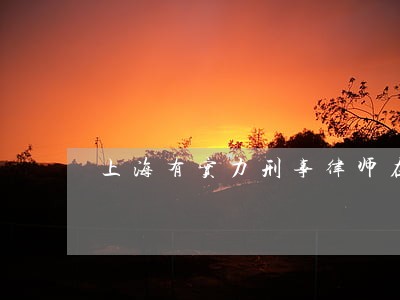 上海有实力刑事律师在线咨询 上海有实力刑事律师在线咨询