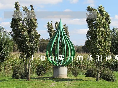 上海有实力的减刑律师网站 上海有实力的减刑律师网站