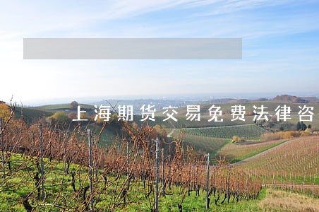 上海期货交易免费法律咨询热线 上海期货交易免费法律咨询热线