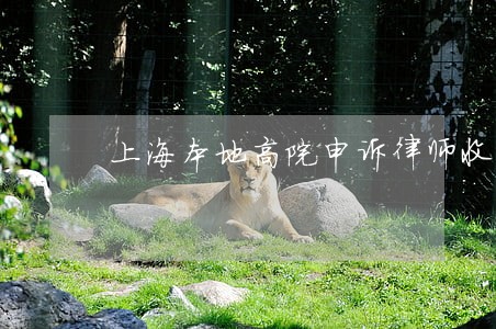 上海本地高院申诉律师收费标准 上海本地高院申诉律师收费标准