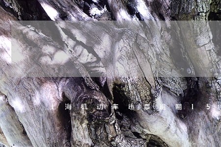 上海机动车违章逾期15日 上海机动车违章逾期15日