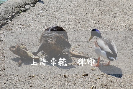 上海李毓燊律师 上海李毓燊律师