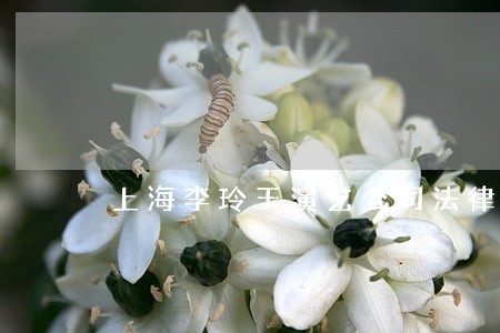 上海李玲玉演艺公司法律诉讼 上海李玲玉演艺公司法律诉讼