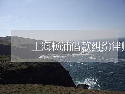 上海杨浦借款纠纷律师事务所 上海杨浦借款纠纷律师事务所
