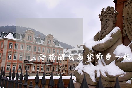 上海杨浦债务律师费一般多少 上海杨浦债务律师费一般多少