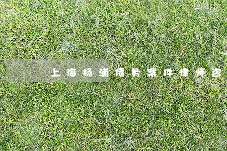 上海杨浦债务案件律师咨询 上海杨浦债务案件律师咨询