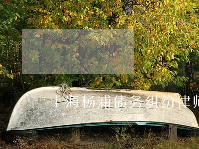 上海杨浦债务纠纷律师推荐 上海杨浦债务纠纷律师推荐