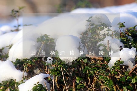 上海杨浦债务纠纷律师电话 上海杨浦债务纠纷律师电话