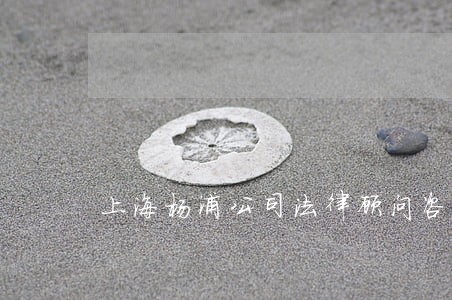上海杨浦公司法律顾问咨询 上海杨浦公司法律顾问咨询