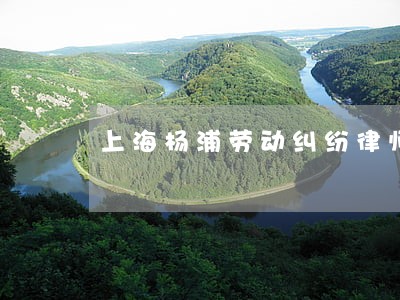 上海杨浦劳动纠纷律师 上海杨浦劳动纠纷律师
