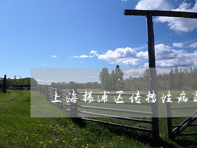 上海杨浦区传播性病罪律师咨询 上海杨浦区传播性病罪律师咨询