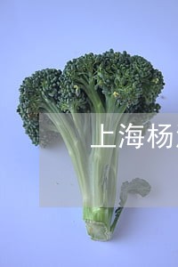上海杨浦区债务合同律师 上海杨浦区债务合同律师