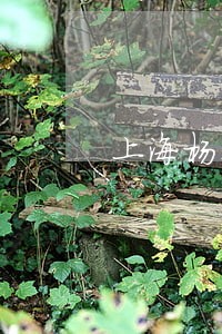 上海杨浦区妨碍公务罪律师排行榜 上海杨浦区妨碍公务罪律师排行榜