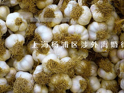 上海杨浦区涉外离婚律师 上海杨浦区涉外离婚律师