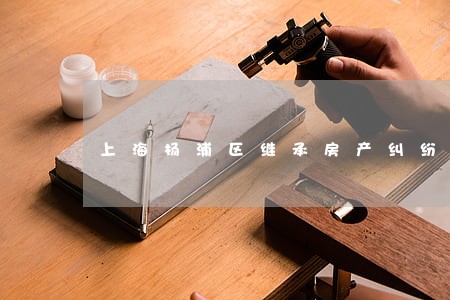 上海杨浦区继承房产纠纷律师推荐 上海杨浦区继承房产纠纷律师推荐