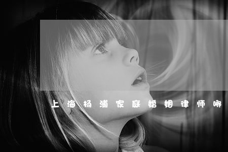 上海杨浦家庭婚姻律师哪里找 上海杨浦家庭婚姻律师哪里找