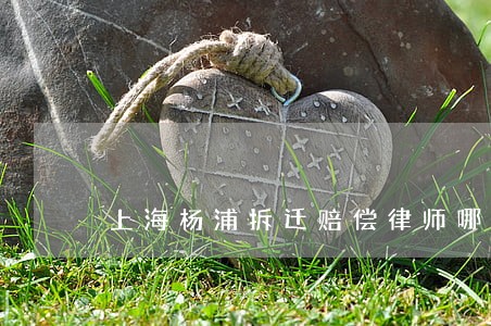 上海杨浦拆迁赔偿律师哪个好