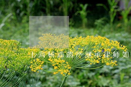 上海杨浦遗产继承律师如何收费 上海杨浦遗产继承律师如何收费