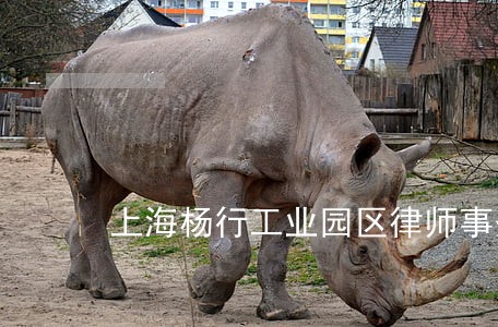 上海杨行工业园区律师事务所名录 上海杨行工业园区律师事务所名录