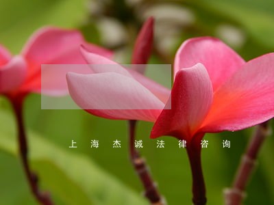上海杰诚法律咨询 上海杰诚法律咨询