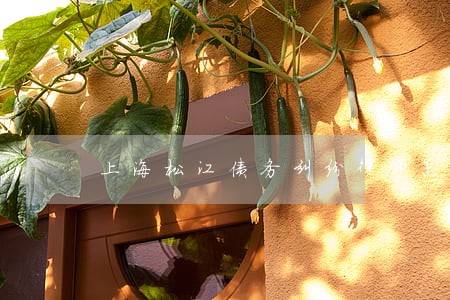 上海松江债务纠纷律师怎么收费 上海松江债务纠纷律师怎么收费