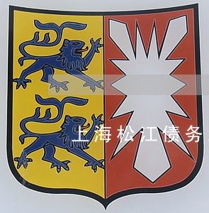 上海松江债务纠纷律师服务咨询 上海松江债务纠纷律师服务咨询