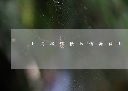 上海松江债权债务律师推荐 上海松江债权债务律师推荐