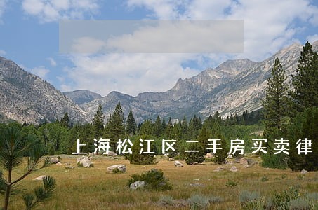 上海松江区二手房买卖律师 上海松江区二手房买卖律师
