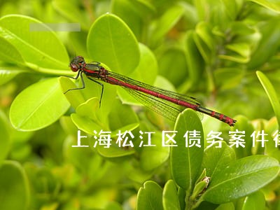 上海松江区债务案件律师 上海松江区债务案件律师