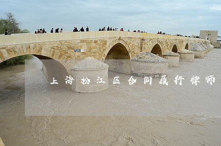 上海松江区合同履行律师推荐 上海松江区合同履行律师推荐
