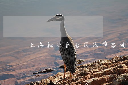 上海松江区合同法律咨询 上海松江区合同法律咨询
