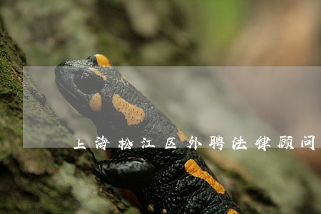 上海松江区外聘法律顾问 上海松江区外聘法律顾问