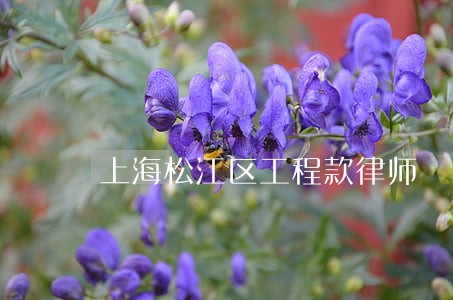 上海松江区工程款律师 上海松江区工程款律师