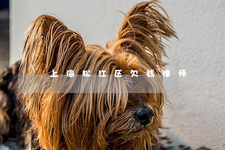 上海松江区欠钱律师 上海松江区欠钱律师