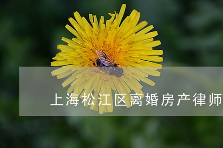 上海松江区离婚房产律师网 上海松江区离婚房产律师网