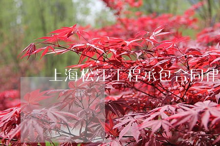 上海松江工程承包合同律师所 上海松江工程承包合同律师所
