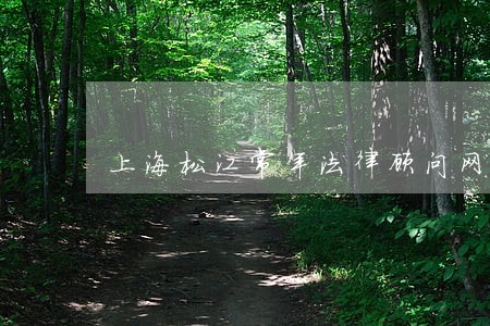 上海松江常年法律顾问网 上海松江常年法律顾问网
