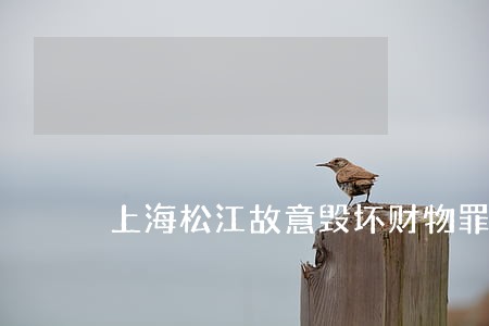 上海松江故意毁坏财物罪律师 上海松江故意毁坏财物罪律师