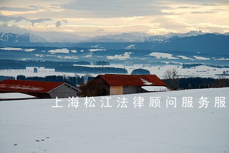 上海松江法律顾问服务服务方案 上海松江法律顾问服务服务方案