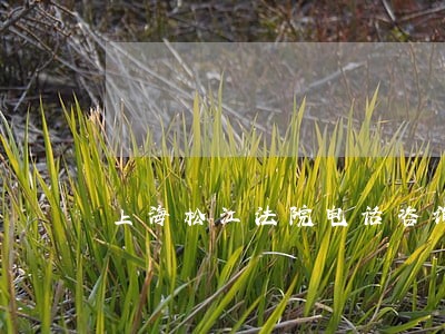 上海松江法院电话咨询 上海松江法院电话咨询