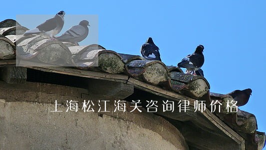 上海松江海关咨询律师价格 上海松江海关咨询律师价格