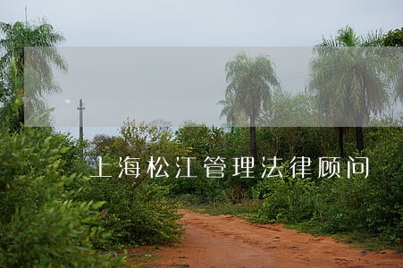 上海松江管理法律顾问 上海松江管理法律顾问
