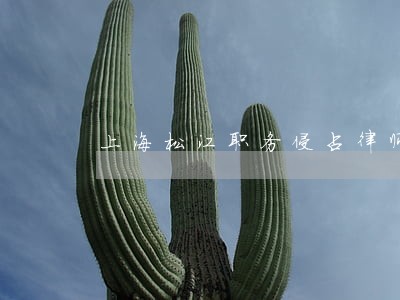 上海松江职务侵占律师 上海松江职务侵占律师