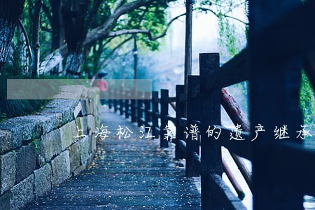 上海松江靠谱的遗产继承律师 上海松江靠谱的遗产继承律师