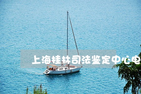 上海桂林司法鉴定中心电话号码 上海桂林司法鉴定中心电话号码