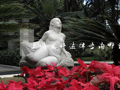 上海案件法律咨询哪里好 上海案件法律咨询哪里好