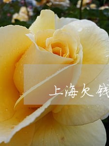 上海欠钱债务律师 上海欠钱债务律师