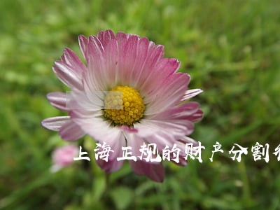 上海正规的财产分割律师案件 上海正规的财产分割律师案件