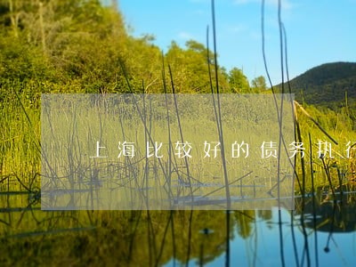 上海比较好的债务执行律师哪个好 上海比较好的债务执行律师哪个好