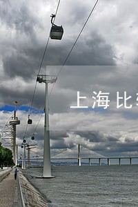 上海比较有名的房产律师事务所 上海比较有名的房产律师事务所